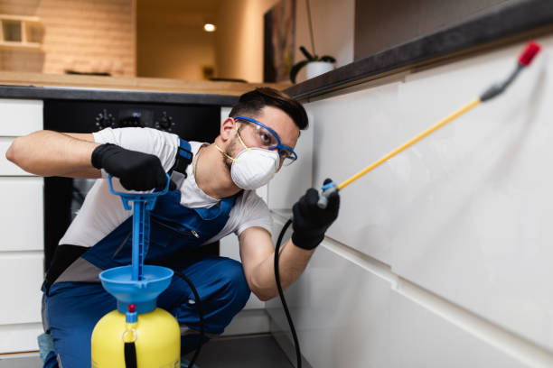 Professional Pest Control in Raoul, GA