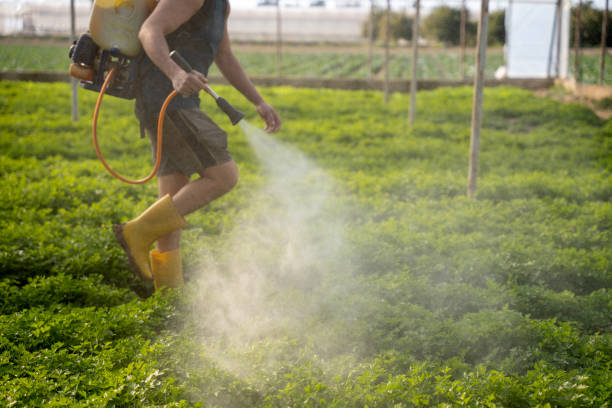 Best Mosquito Control Services  in Raoul, GA