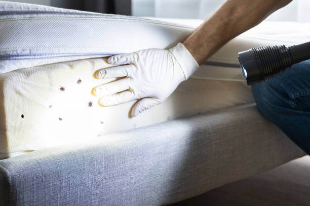 Best Best Pest Control Companies  in Raoul, GA