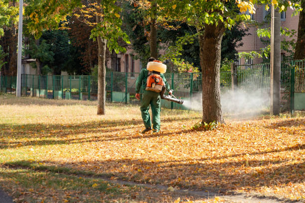 Best Bed Bug Extermination  in Raoul, GA