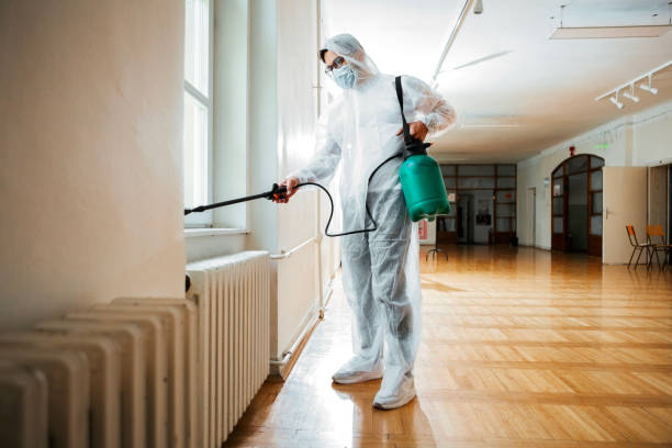 Best Rat Extermination Near Me  in Raoul, GA